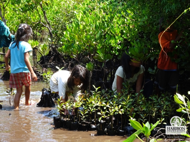 Community members planting mangroves in Infanta last August 2015.