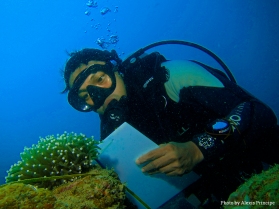 Marine biologist Gregorio Ditto de la Rosa studies a Mushroom Coral - Photo by Alexis Principe.jpg