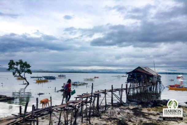 More than 2,000 fishers were interviewed by Haribon biologists to find out which species have decreased in catch. This interview took place in Honday Bay, Palawan. Photo by Erina Molina 2.jpg