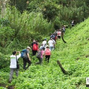 Volunteers plant the future forests of Mt. Cristobal